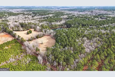 57.4 Acres County Line Church Road, Warm Springs, GA 31830 - Photo 25
