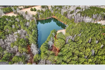 57.4 Acres County Line Church Road, Warm Springs, GA 31830 - Photo 27