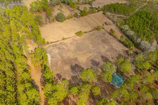 1473 Chesser Ln, Nahunta, GA 31553 - Photo 41