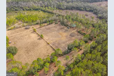 1473 Chesser Lane, Nahunta, GA 31553 - Photo 47