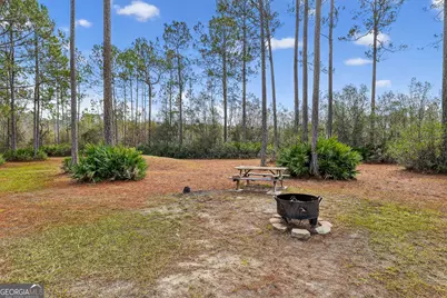 1473 Chesser Lane, Nahunta, GA 31553 - Photo 31