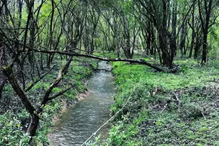 380 Wilson Rd, Whitesburg, GA 30185 - Photo 27