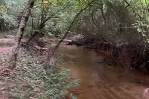 380 Wilson Rd, Whitesburg, GA 30185 - Photo 19