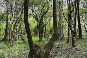 380 Wilson Rd, Whitesburg, GA 30185 - Photo 23