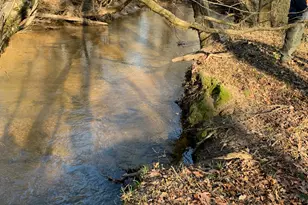 380 Wilson Rd, Whitesburg, GA 30185 - Photo 15