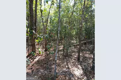 0-Lot 1 Owen Spatcher Road #LOT 1, Folkston, GA 31537 - Photo 7