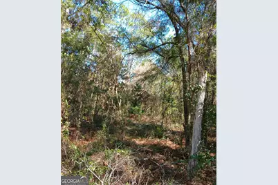 0-Lot 2 Owen Spatcher Road, Folkston, GA 31537 - Photo 13