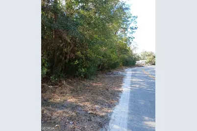 0-Lot 2 Owen Spatcher Road, Folkston, GA 31537 - Photo 1