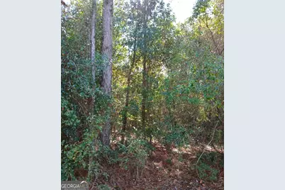 0-Lot 2 Owen Spatcher Road, Folkston, GA 31537 - Photo 9