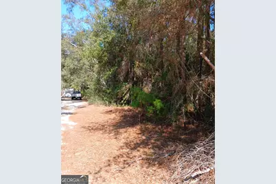 0-Lot 2 Owen Spatcher Road, Folkston, GA 31537 - Photo 3