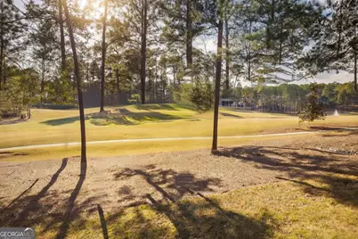 1010 Monfort Court, Greensboro, GA 30642 - Photo 61