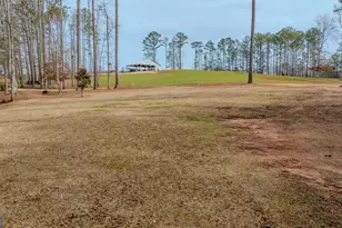 2376 Smokey Rd, Newnan, GA 30263 - Photo 47