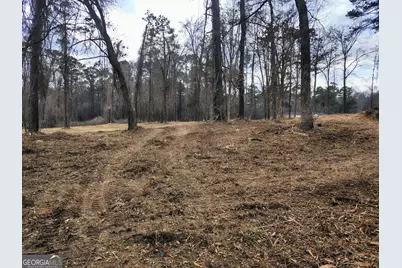 594 Cook Drive, Ellenwood, GA 30294 - Photo 7