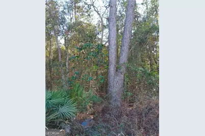 0-Lot 4 Kelly Road, Folkston, GA 31537 - Photo 9