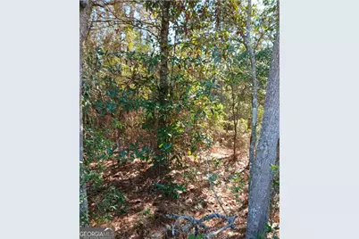 0-Lot 4 Kelly Road, Folkston, GA 31537 - Photo 5