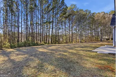 946 Damson Trail, Hampton, GA 30228 - Photo 37