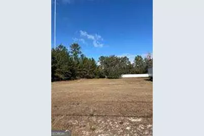 Parcel 1 Shellman Bluff Road NE, Townsend, GA 31331 - Photo 1