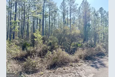 18 Satilla Plantation, Waynesville, GA 31566 - Photo 3