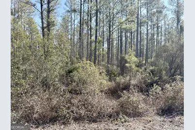 18 Satilla Plantation, Waynesville, GA 31566 - Photo 1