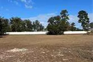 Parcel 2 Shellman Bluff Road NE, Townsend, GA 31331 - Photo 1