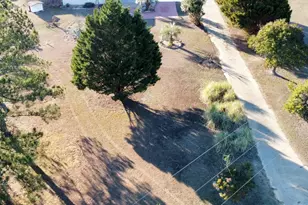 103 Henderson Springs Rd, Elko, GA 31025 - Photo 31