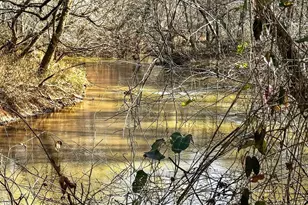 261 McIntosh Cir, Jackson, GA 30233 - Photo 79