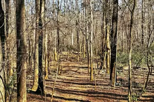 261 McIntosh Cir, Jackson, GA 30233 - Photo 81