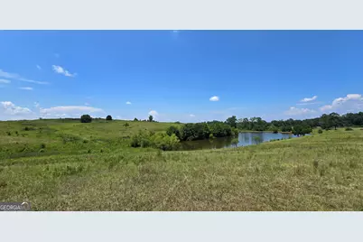 361 Allen Road, Musella, GA 31066 - Photo 19