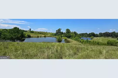 361 Allen Road, Musella, GA 31066 - Photo 3