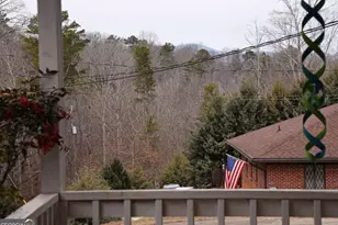 111 Seneca Way, Ellijay, GA 30540 - Photo 43