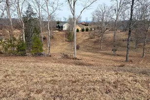 Lot 29 Hogue Way, Blairsville, GA 30512 - Photo 1