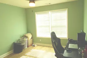 907 Downing Dr, Bethlehem, GA 30620 - Photo 9