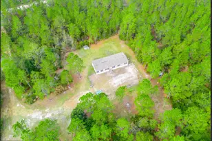 6911 Old Hortense Rd, Hortense, GA 31543 - Photo 1