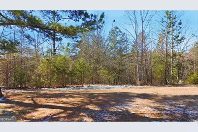 12 Wards Pond Way, Toccoa, GA 30577 - Photo 15