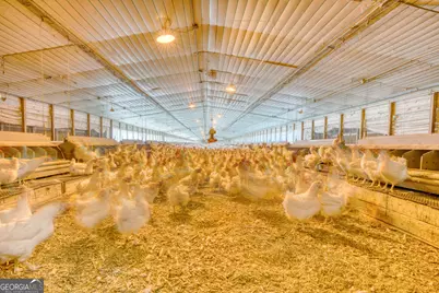 441 Weaver Road, Moultrie, GA 31768 - Photo 65