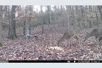 20 Turning Point Way, Elberton, GA 30635 - Photo 37