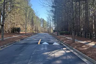 3863 Dragon Fly Ln, Loganville, GA 30052 - Photo 43