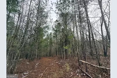 14 Turning Point Way, Elberton, GA 30635 - Photo 53