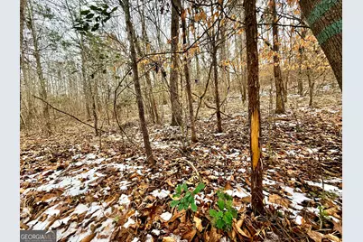 14 Turning Point Way, Elberton, GA 30635 - Photo 31