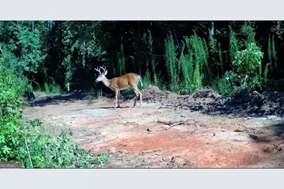 14 Turning Point Way, Elberton, GA 30635 - Photo 13