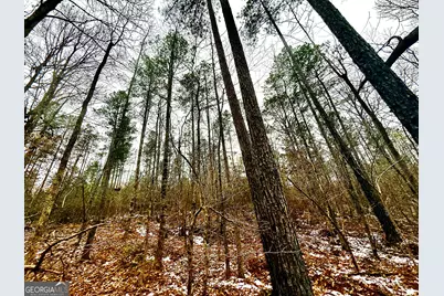 14 Turning Point Way, Elberton, GA 30635 - Photo 27