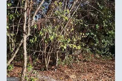 1513 Pickard Avenue, Tifton, GA 31794 - Photo 13