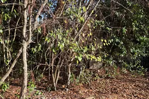 1513 Pickard Ave, Tifton, GA 31794 - Photo 13