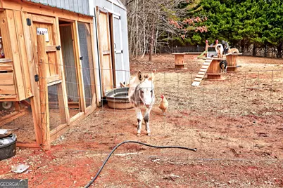 194 Bunny Trail, Clarkesville, GA 30523 - Photo 39