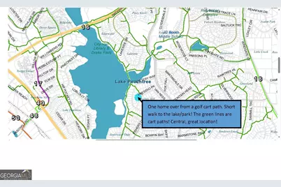 110 Presidio Park, Peachtree City, GA 30269 - Photo 49