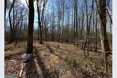 18 Turning Point Way, Elberton, GA 30635 - Photo 63