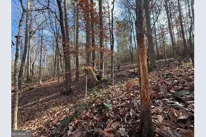 18 Turning Point Way, Elberton, GA 30635 - Photo 49