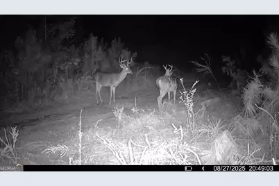 18 Turning Point Way, Elberton, GA 30635 - Photo 73