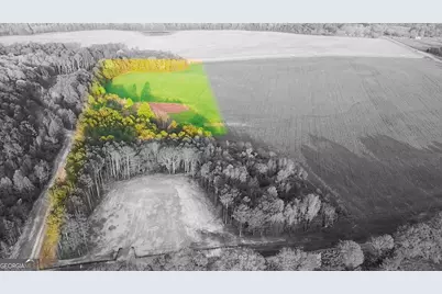 Tract 6 Ramah Church Road #6, Barnesville, GA 30204 - Photo 1