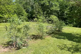 215 Old Mize Rd, Toccoa, GA 30577 - Photo 35